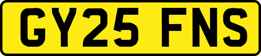 GY25FNS