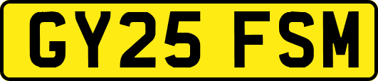 GY25FSM
