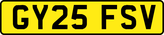 GY25FSV