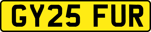GY25FUR