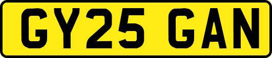 GY25GAN