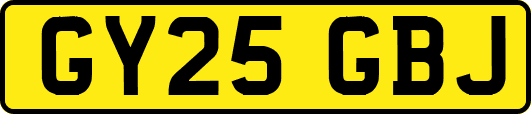 GY25GBJ