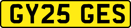 GY25GES
