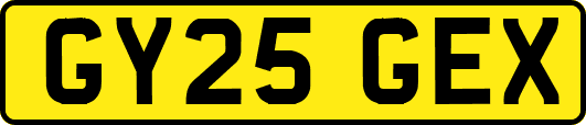 GY25GEX