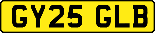 GY25GLB