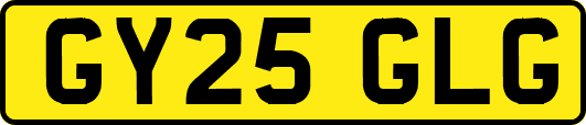GY25GLG
