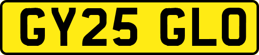 GY25GLO