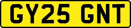 GY25GNT