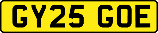 GY25GOE