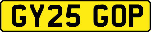 GY25GOP