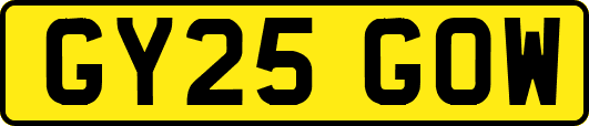 GY25GOW