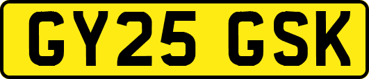 GY25GSK