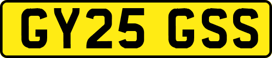 GY25GSS