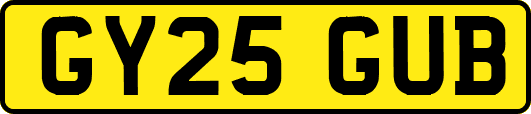 GY25GUB