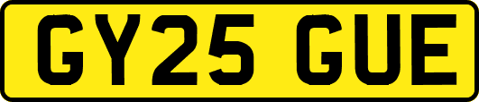 GY25GUE