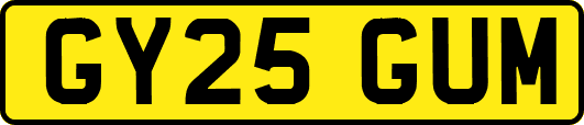 GY25GUM