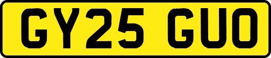 GY25GUO
