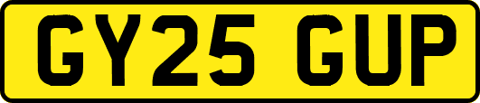 GY25GUP