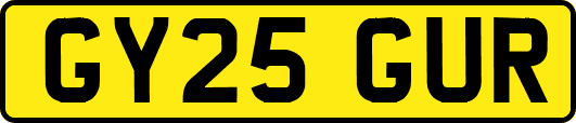 GY25GUR