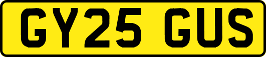 GY25GUS