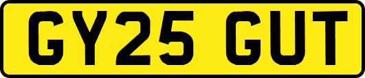 GY25GUT