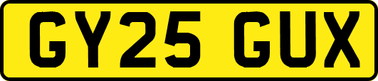 GY25GUX