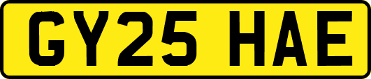 GY25HAE
