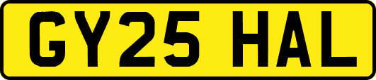 GY25HAL