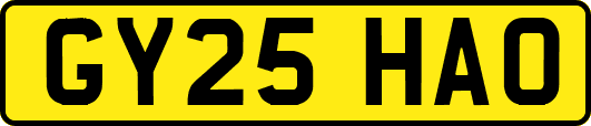 GY25HAO
