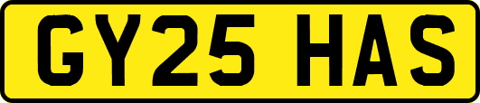 GY25HAS