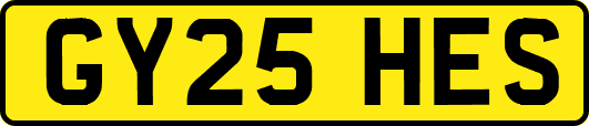 GY25HES