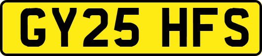 GY25HFS