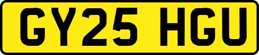 GY25HGU