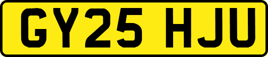 GY25HJU
