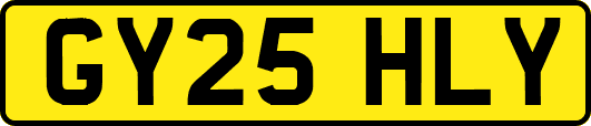 GY25HLY