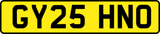GY25HNO