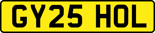 GY25HOL