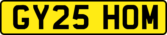 GY25HOM