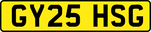 GY25HSG