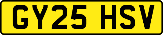 GY25HSV