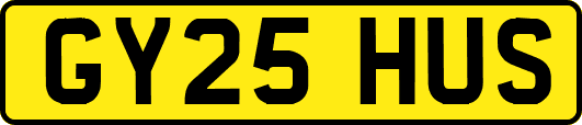 GY25HUS