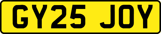 GY25JOY