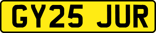 GY25JUR