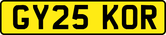 GY25KOR