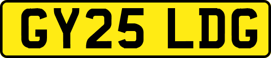 GY25LDG
