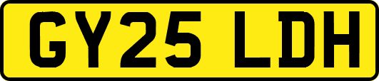 GY25LDH