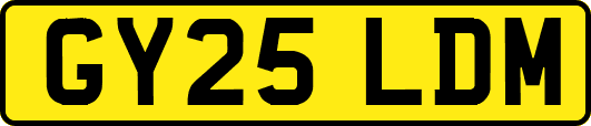 GY25LDM