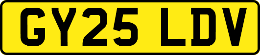 GY25LDV