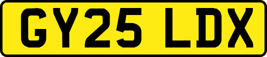 GY25LDX