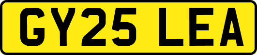 GY25LEA
